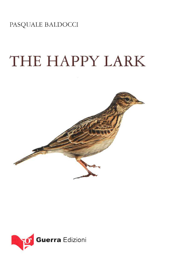 Baldocci Happy Lark copertina